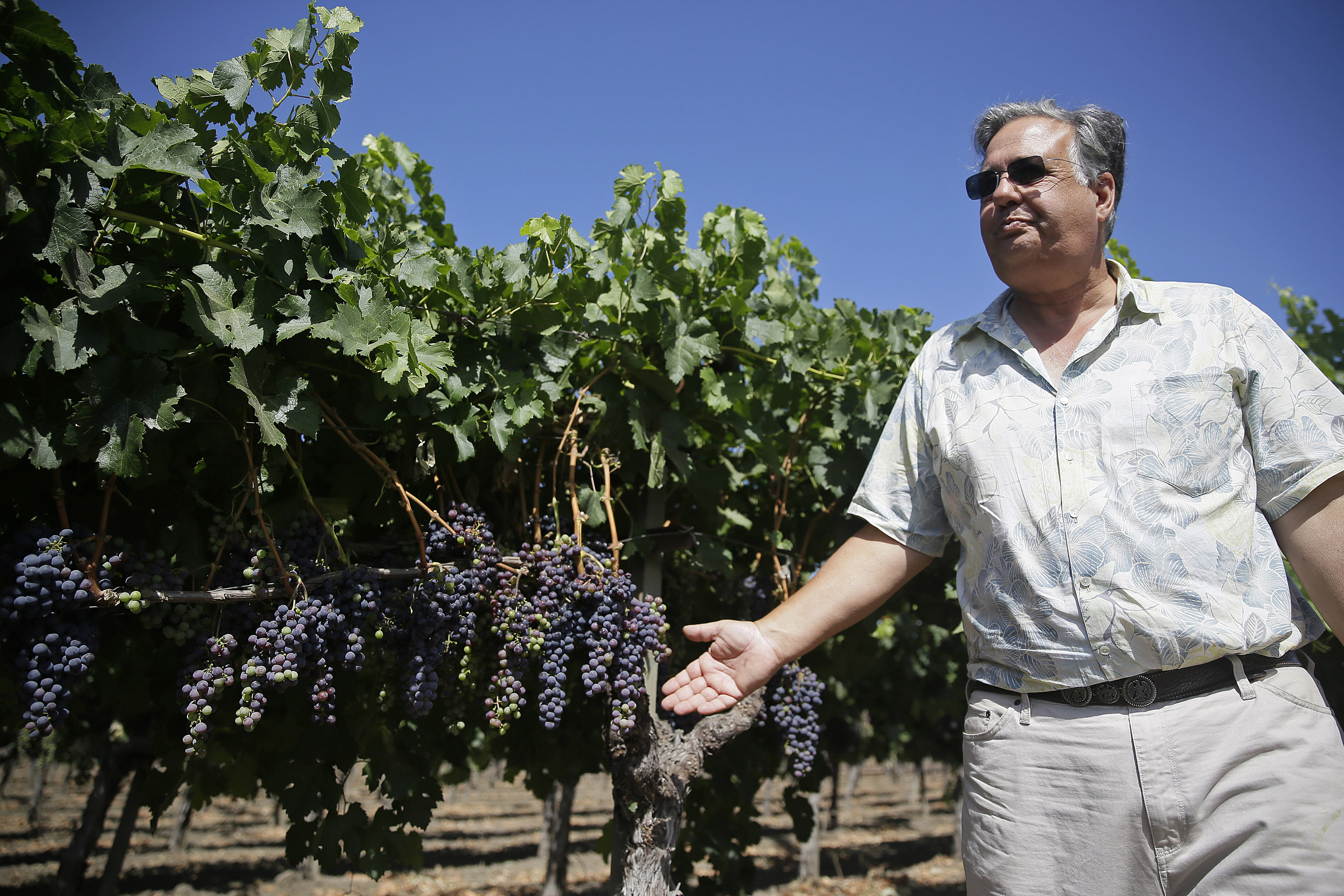 Drought Wine Without Water