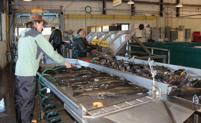 Executive Summary forDecember 7