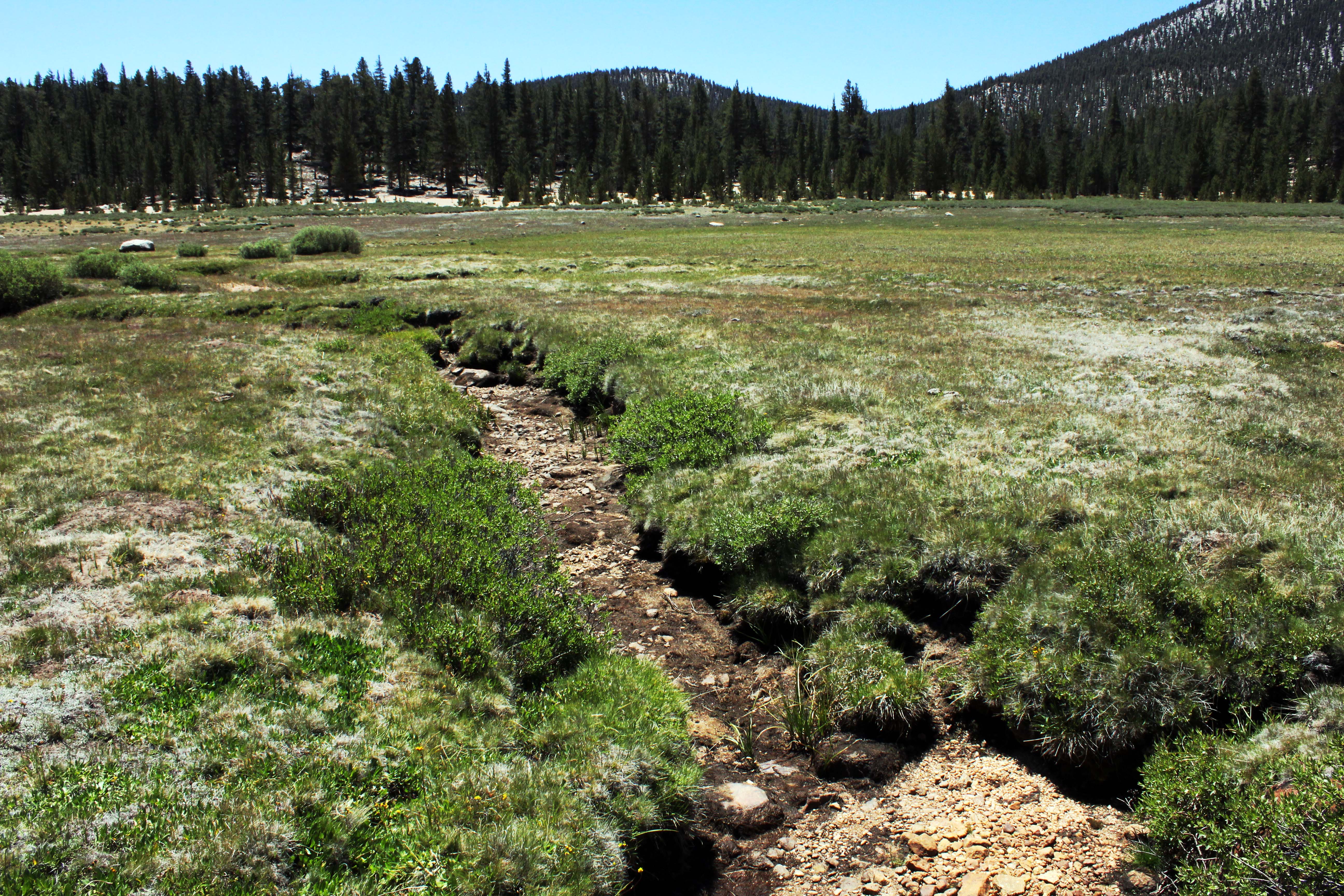 California Drought-Crises to Come